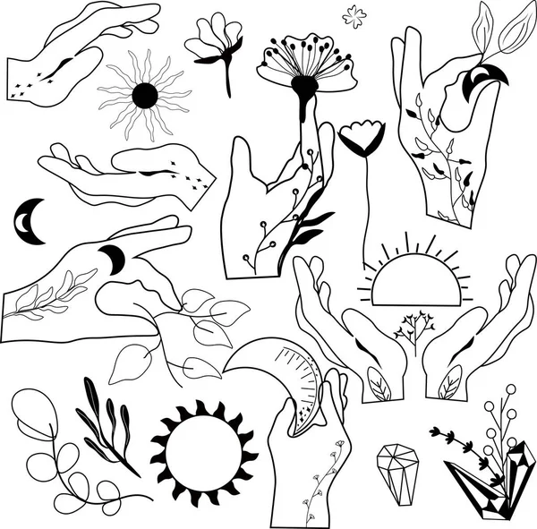 Handzeilenkunst Sonne Und Blumen Kristall Mond Der Hand Blätter Auf — Stockvektor