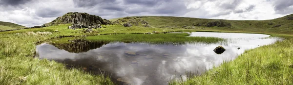 Dale głowa tarn — Zdjęcie stockowe