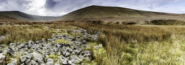 Lank Rigg — Stockfoto