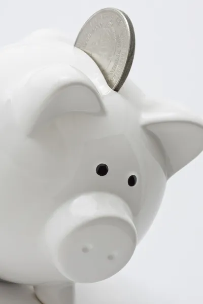 Piggy Bank — Stock Photo, Image