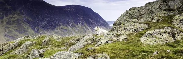 Rannerdale knott walk — Stock Photo, Image