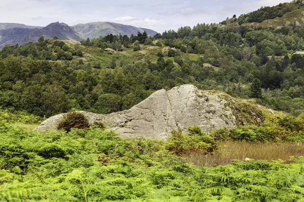 Rydal Walk — Stock Photo, Image