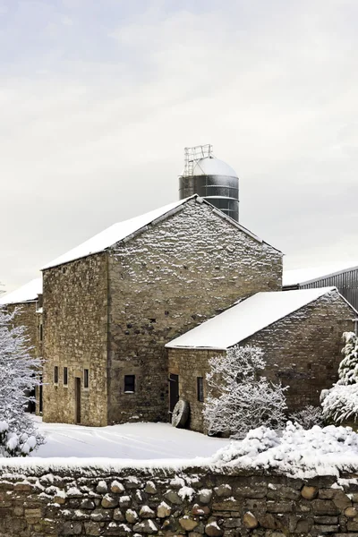 Snowy Scene — Stock Photo, Image