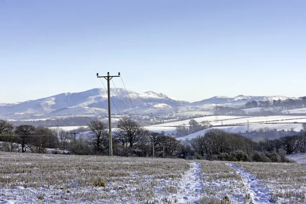 Snowy Scene — Stock Photo, Image