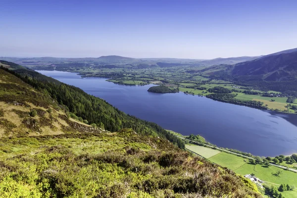 Summers Day — Stock Photo, Image