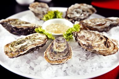 plaka üzerinde çiğ istiridye, yakın çekim