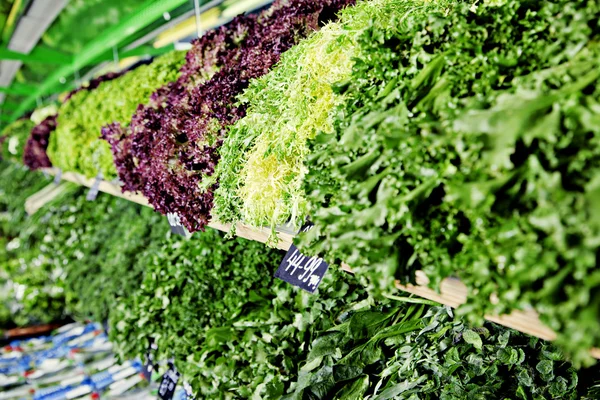 Verduras frescas — Foto de Stock