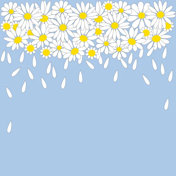 Viele weiße Gänseblümchen mit Blütenblättern — Stockvektor