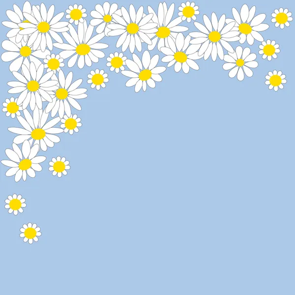 Many white daisies on blue background — Stock Vector