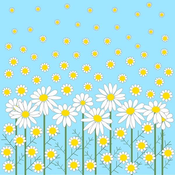 Kamillenblüten auf blauem Hintergrund — Stockvektor