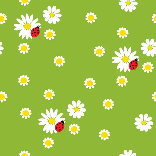 Bunga Chamomile dengan ladybirds pada latar belakang hijau - Stok Vektor