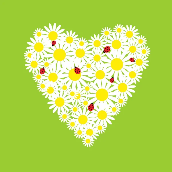 The heart of daisies with ladybirds — Stock Vector