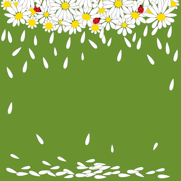 Daisies with ladybirds on green background — Stock Vector