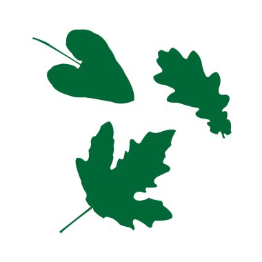 yeşil yaprakları izole kümesi