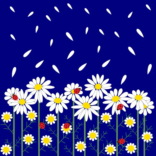 Blume nahtloses Muster mit Gänseblümchen — Stockvektor