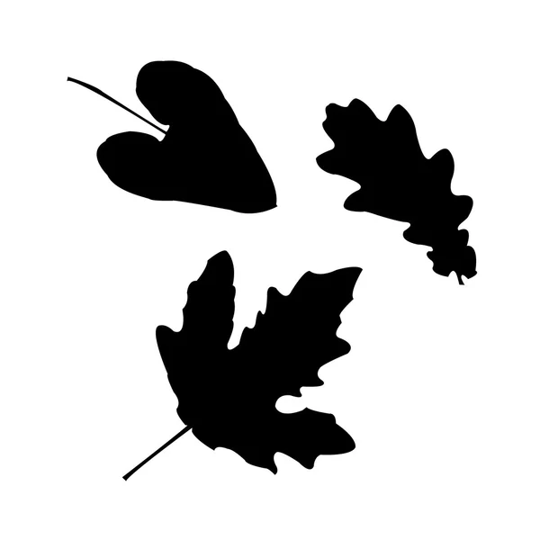 Ensemble de silhouettes de feuilles — Image vectorielle