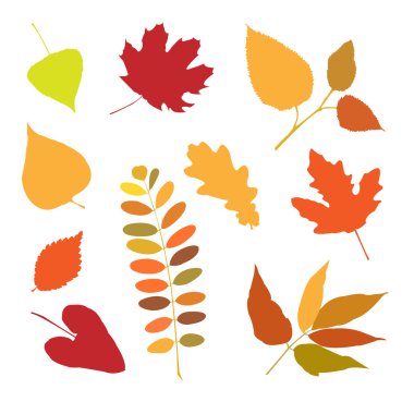 Orman yaprakları ile çiçek seamless modeli