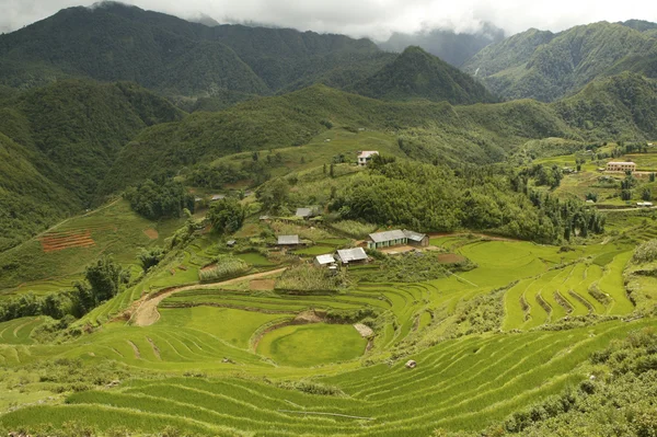 Vietnam — Stock Photo, Image