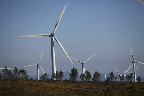 Wind energy — Stock Photo, Image