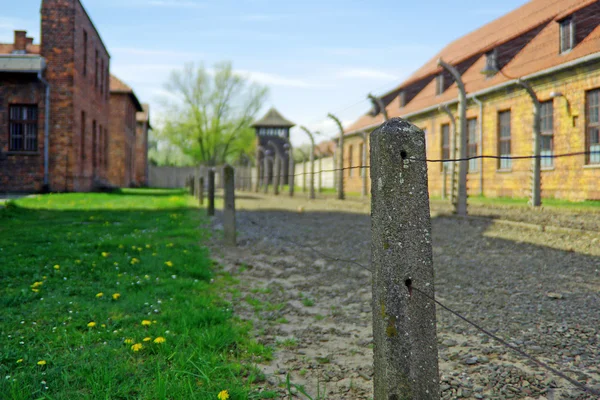 Campo da morte Auschwitz — Fotografia de Stock