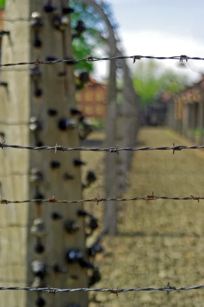 Cerca elétrica no campo da morte Auschwitz — Fotografia de Stock