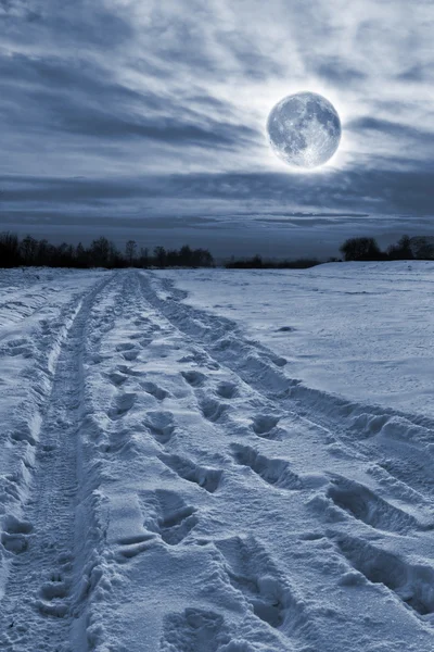 Зимняя луна — стоковое фото