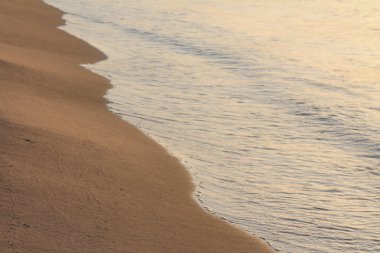 deniz, plaj, Dalış,