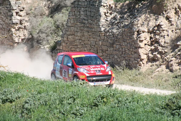 Rally —  Fotos de Stock