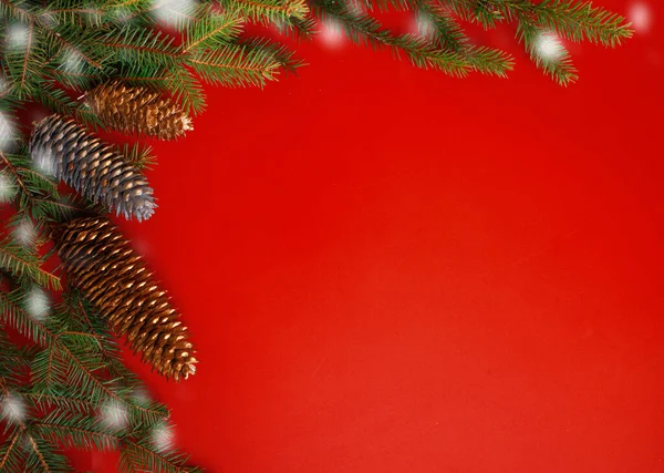 Kırmızı arka planda köknar dalları ve konileri olan Noel süslemeleri. Doğal çerçeve. Kış, yeni yıl tatili konsepti üst görünüm olarak, telif uzayı. tebrik kartı şablonu