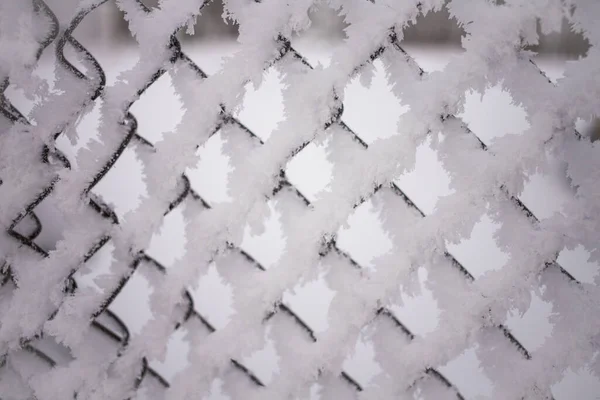 Сніговий Заморожений Металевий Паркан Крупним Планом Зима Сніжна Погода Старий — стокове фото