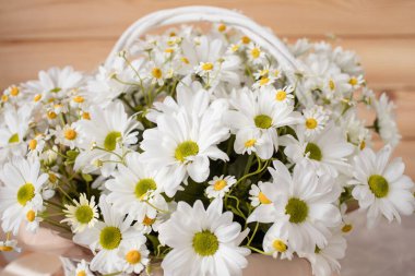 Doğum günü veya yıldönümü için sepetteki güzel yaz papatyaları kompozisyonu, Ulusal Kadınlar Günü, 8 Mart, Anneler Günü.