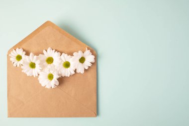 Papatya çiçekli el işi zarf, mavi üzerine beyaz kasımpatı, nane arkaplan. Üst Manzara. Sevgililer Günü için tebrik kartı konsepti, düğün ya da anneler günü, kadınlar günü.