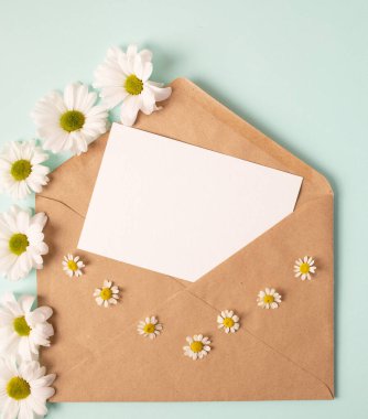 Sevgililer günü için tebrik kartı konsepti, düğün ya da anneler günü, kadınlar günü. İçinde boş kağıt ve güzel kırmızı kağıt kalpler olan bir zarf aç. Mavi papatya, nane arkaplan.