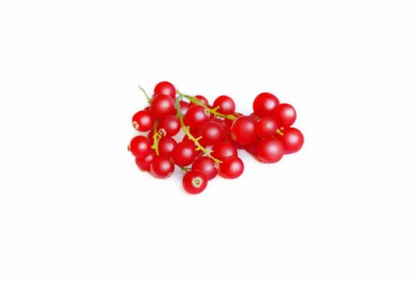 Isolated Redcurrant Selective Focus Good Any Project — 图库照片