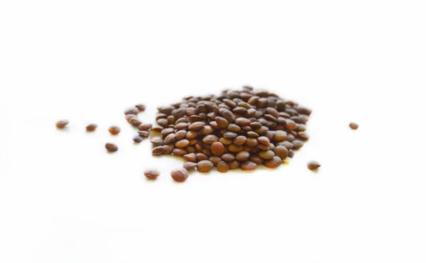 Isolated Uncooked Lentil Selective Focus Good Any Project — Stok fotoğraf