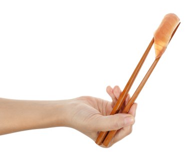 suşi örnekleyici toro