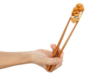 suşi örnekleyici Inari