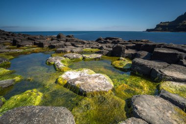 Beautiful Exposure of Giant's Causeway UNESCO World Heritage Site, is an area of about 40,000 interlocking hexagonal basalt columns, the result of an ancient volcanic fissure eruption. It is located in County Antrim on the north coast of Northern Ire