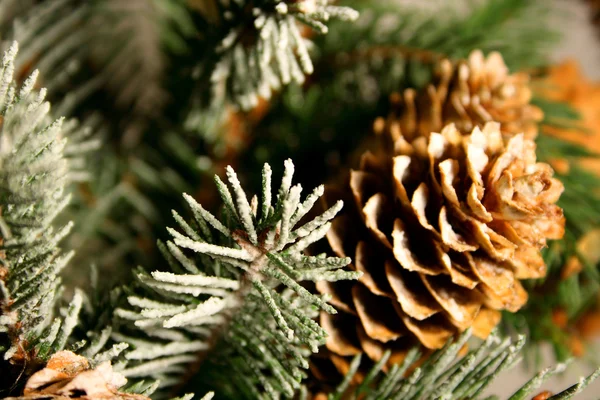 Rama de un árbol de Navidad con abetos —  Fotos de Stock