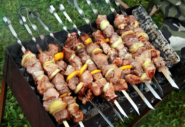Shish kebab (shashlik) på picknick Royaltyfria Stockbilder