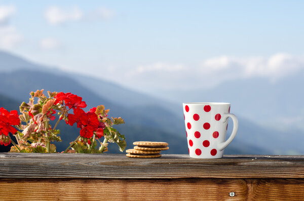 Bonjour Alpes — Photo