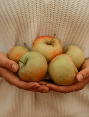 Örgü süveterin arka planında elmalar