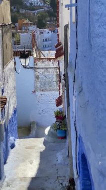 Fas 'taki Blue City Chefchaouen. Güneşli bir gün. Terracotta çatılarının manzarası