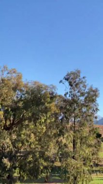 Dağlı, ağaçlı, Fas çöllü manzaralı bir araba.