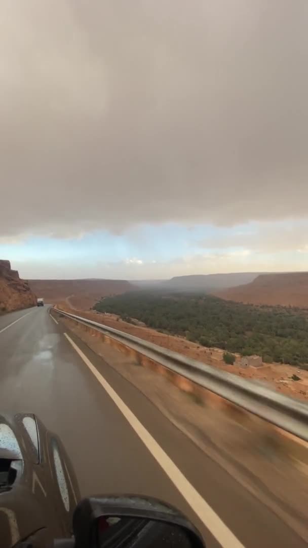 Ιππασία σε μια έρημο, το αυτοκίνητο είναι οδήγηση μέσα από αμμώδη δρόμο, γραμμή ορίζοντα — Αρχείο Βίντεο