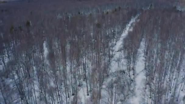Вид с воздуха на снежный весенний березовый лес с панорамой Уральских гор — стоковое видео