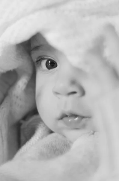 Retrato de bebê Fotos De Bancos De Imagens