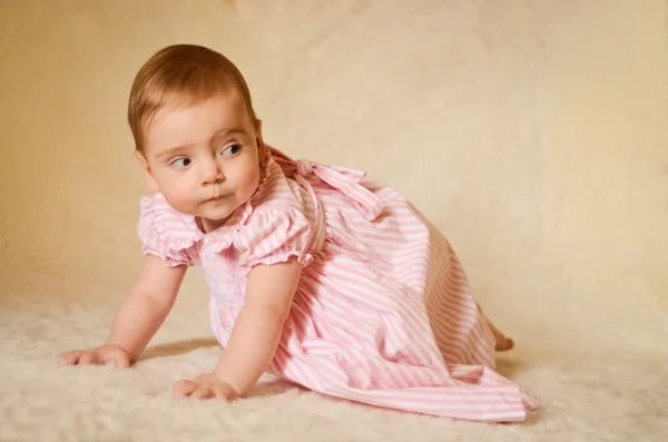 Baby Portrait Stock Photo