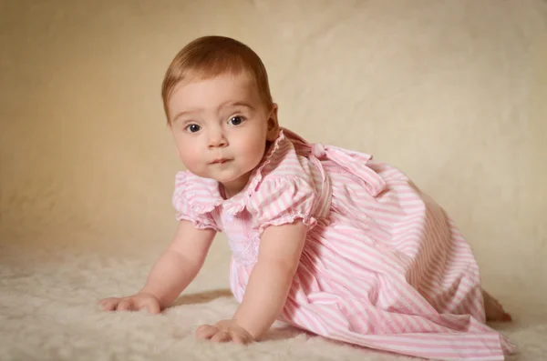 Baby Portrait Royalty Free Stock Images