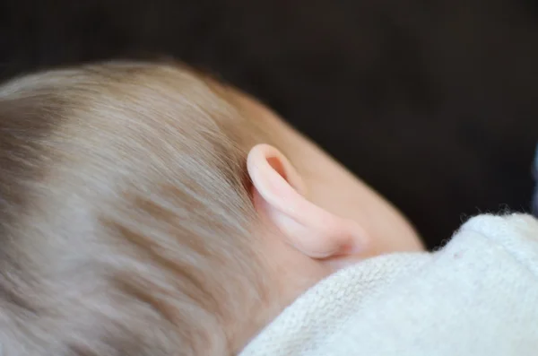 Baby von hinten — Stockfoto